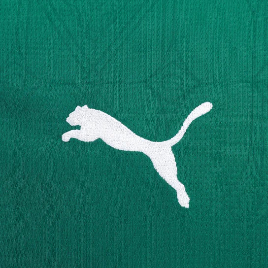 Camisa Verdão Home 2025/26 - Torcedor Masculina - Lançamento